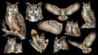 Detailed owl clipart set with multiple poses, feathers, and expressions, isolated on transparent background. Great for stickers, t-shirt design, print on demand, and sublimation.