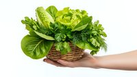 Fresh green leafy vegetables and herbs in wicker basket held by hand on white background. Healthy organic produce for cooking and nutrition.