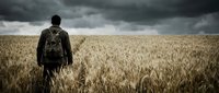Man in military jacket standing in wheat field under stormy sky, suitable for editorial, agriculture, and conflict-related content.