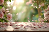 Wooden table with scattered pink flower petals under blooming cherry blossom tree with soft sunlight and bokeh background for spring product display.
