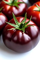 Fresh ripe dark purple heirloom tomatoes with green stems and leaves on white background, macro photography showing detailed texture and natural shine.