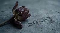 Wilted dark purple tulip lying on gray concrete surface with the word Sorry written in dust, evoking regret, apology, and emotional loss.