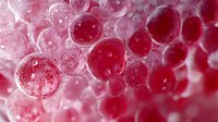 Macro view of pink and red bubbles creating abstract background with soft bokeh effect and translucent spherical shapes in dreamy artistic composition.