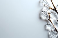 Crystal clear glass beads on brown twig branch against white background, minimalist composition with copy space for text, modern artistic arrangement.