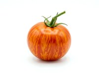 Ripe red tomato with green stem isolated on white background, suitable for food packaging, recipe blogs, grocery advertising, and culinary design projects.