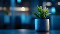 Small green succulent plant in modern blue textured ceramic pot against dark blurred background with bokeh lights, minimalist home decor composition.