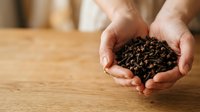 Caucasian male hands holding loose black tea leaves over wooden surface, showcasing organic dried tea for beverage preparation and culinary use.
