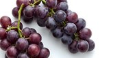 Fresh red grapes cluster on white background, ripe juicy fruit for healthy eating, wine making, and organic food concepts.