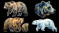 Watercolor bear clipart set with grizzly, polar, and brown bears isolated on transparent background, ready for stickers, t-shirt design, and print on demand.
