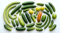 Fresh green cucumbers and vegetables arranged on white background, perfect for healthy eating concepts, organic farming and nutrition designs.
