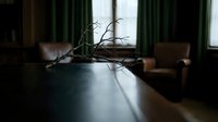 Bare tree branch on wooden table in moody interior with green curtains and natural window light creating atmospheric shadows for home decor concepts.