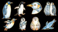 Penguin and puffin characters isolated on transparent background. Cute arctic bird illustrations ready for t-shirt design, clipart, stickers, sublimation and print-on-demand products.