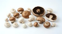 Assorted fresh and dried mushrooms including button, cremini, and portobello varieties arranged on white background for culinary use.