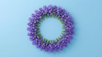 Purple lavender flowers arranged in circular wreath frame on light blue background for spring decoration, aromatherapy and natural wellness design.