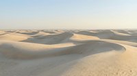 Vast desert landscape with rolling sand dunes under clear sky, suitable for travel, nature, and background design projects.