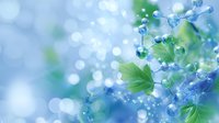 Dreamy blue bokeh background with fresh green leaves and water drops creating magical nature atmosphere for spring and summer designs.