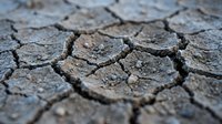 Cracked and parched earth surface showing deep fissures from extreme drought conditions, suitable for environmental, climate change, and sustainability projects.