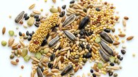 Mixed collection of various seeds, nuts, grains and legumes scattered on white background. Healthy organic food ingredients for cooking and nutrition.