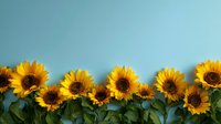 Bright yellow sunflowers arranged in a row against a light blue background, creating a cheerful summer border for greeting cards and seasonal designs.