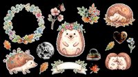 Adorable hedgehog illustrations with autumn florals and botanical elements. Isolated on transparent background, ready for t-shirts, stickers, clipart, sublimation, and print-on-demand designs.