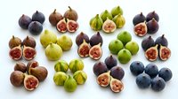Fresh figs variety collection showing purple, green and dark blue fruits whole and cut in half revealing pink flesh on white background.