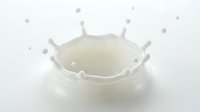 White milk splash creating crown shape with droplets on clean white background perfect for dairy advertising and food photography campaigns.