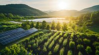 Solar panels in green vineyard rows at sunset, with mountains and lake in background creating sustainable energy landscape for agricultural business.