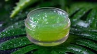 Fresh green aloe vera gel in glass jar on tropical leaf with water drops, natural organic skincare and beauty treatment for spa wellness.