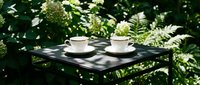 Two white coffee cups on black table in lush green garden setting with natural sunlight filtering through leaves creating peaceful outdoor dining atmosphere.