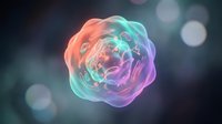 Glowing neon sphere with flowing liquid surface and vibrant gradient colors ranging from coral pink to cyan blue, set against dark blurred bokeh background for abstract design projects.