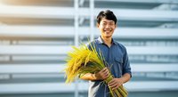 Young Asian male farmer in blue shirt holding fresh wheat stalks against modern urban building backdrop, representing agricultural innovation and sustainable farming practices.