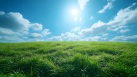 Vibrant green grass meadow under bright summer sun and fluffy white clouds in blue sky, natural landscape with wind moving through tall grass blades.