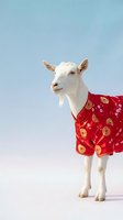 White goat wearing traditional red Chinese New Year outfit with gold coin patterns against gradient blue sky background for festive celebrations.