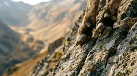 Rugged mountain cliff face with textured rock formations overlooking golden valley landscape during warm sunset light for outdoor adventure concepts.