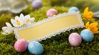 Easter celebration background with colorful painted eggs, spring flowers and blank vintage card on moss for holiday greetings and seasonal designs.