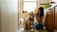 Young Asian woman sitting on kitchen floor bonding with golden retriever dog in cozy home interior with natural sunlight streaming through window.