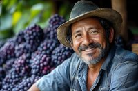 Smiling mature Latino farmer with straw hat and denim shirt poses next to freshly harvested purple grapes at local vineyard. Natural lighting highlights authentic expression.