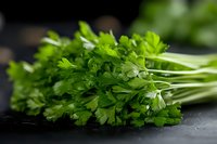 Fresh green parsley bunch with bright leaves and stems on dark background, selective focus macro shot for cooking, food styling and healthy eating.