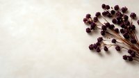 Dried purple wildflowers on light beige textured background with copy space. Natural botanical flat lay composition for wellness and spa designs.