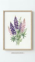 Watercolor lupine flowers botanical illustration in wooden frame on white wall for home decor and interior design projects.