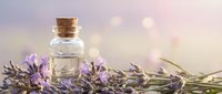 Essential oil bottle with cork stopper surrounded by fresh lavender flowers on wooden surface with soft bokeh background for aromatherapy and wellness.