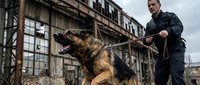Police officer with German Shepherd dog in urban industrial setting. Law enforcement K9 unit training in abandoned warehouse district for security operations.
