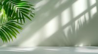 Minimalist scene with palm leaves casting window shadow on white wall, sunlight streaming through creating geometric patterns and natural reflections.