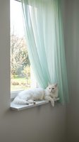 White fluffy cat relaxing on sunny windowsill with soft mint green curtains and natural light streaming through window creating peaceful home atmosphere.