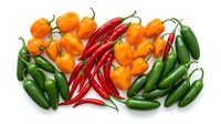 Orange and red hot chili peppers with green jalapenos arranged on white background. Fresh spicy ingredients for cooking, seasoning, and culinary use.