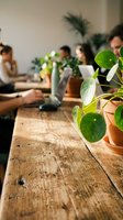 Potted houseplants with lush green foliage arranged on wooden table during collaborative meeting, blurred colleagues working in background, office workspace with natural greenery for corporate environment.