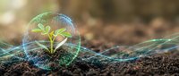 Young green plant seedling growing in rich soil protected by glowing energy sphere symbolizing environmental conservation and sustainable growth concepts.