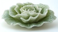 Fresh green cabbage head with layered leaves showing detailed texture and natural pattern on white background, isolated for food and agriculture designs.
