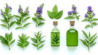 Herbal medicine concept with green glass bottles and fresh sage leaves arranged on white background, natural healing ingredients and aromatherapy elements.