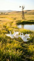 Three white geese grazing in golden grassland with windmill and stream, rural farm landscape for agriculture and countryside themes.